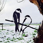 Metalbird
Zwaluwen